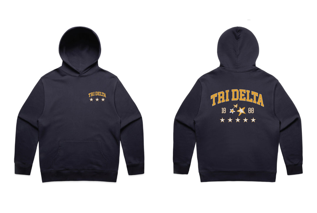 Varsity Stars Heavy Weight Sorority Hoodie
