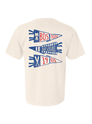 Boston Baseball Pennant Crewneck