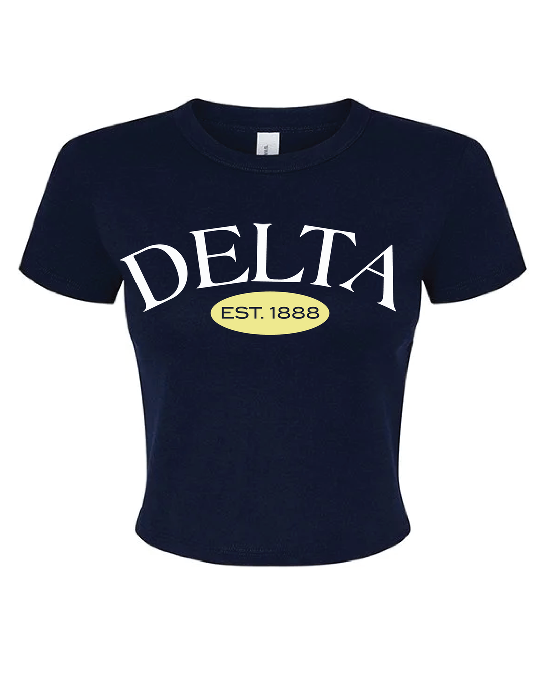 Est Year Vintage Sorority Baby Tee