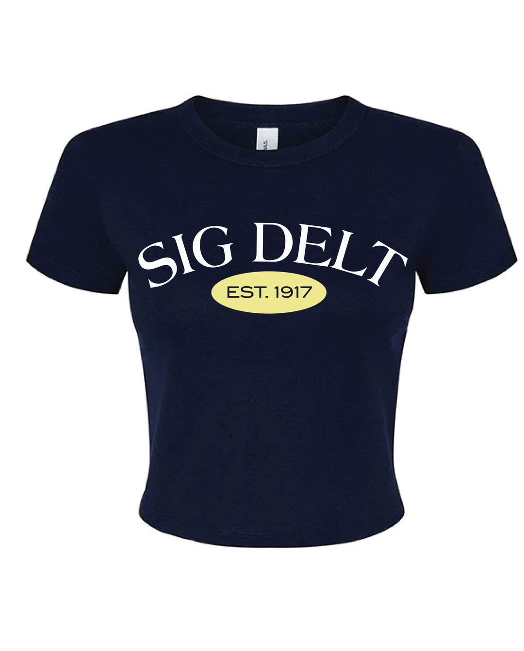 Est Year Vintage Sorority Baby Tee