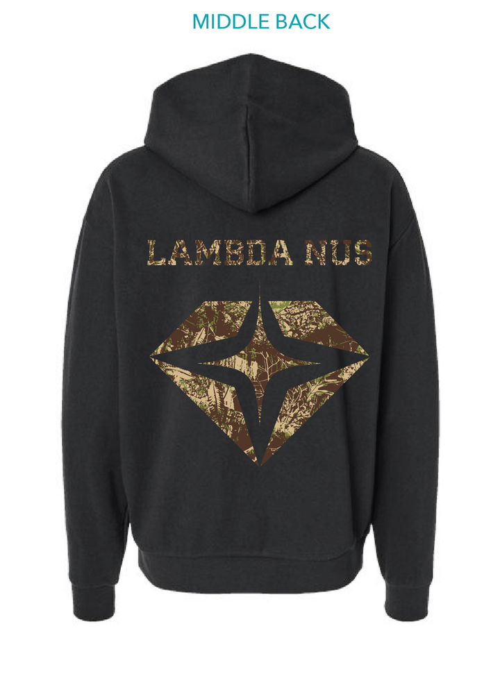Binghamton|Pi Lam|Lambda Nus