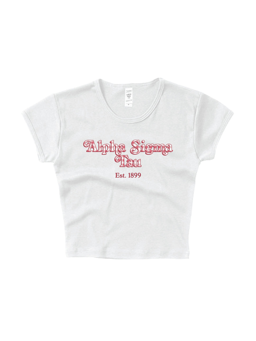 Gingham Sorority Baby Tee 2XL