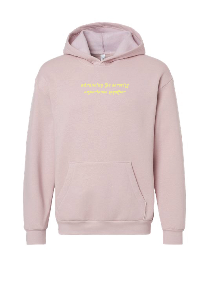 National Panhellenic Conference Strangers to Sisters Hoodie