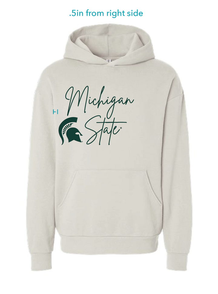 MSU Club Volleyball Exec