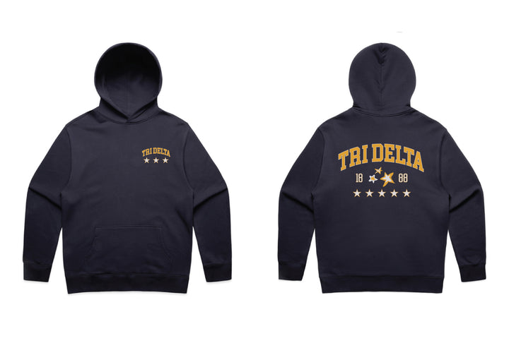 Varsity Stars Heavy Weight Sorority Hoodie