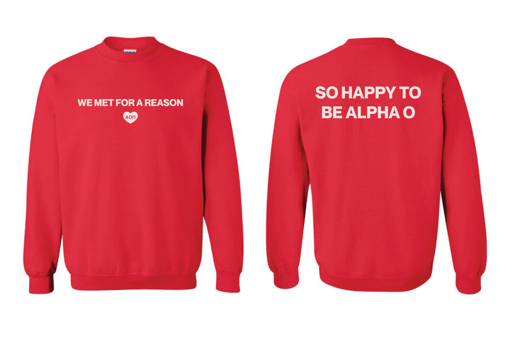 We Met For A Reason Sorority Crewneck