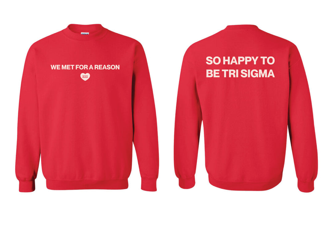 We Met For A Reason Sorority Crewneck