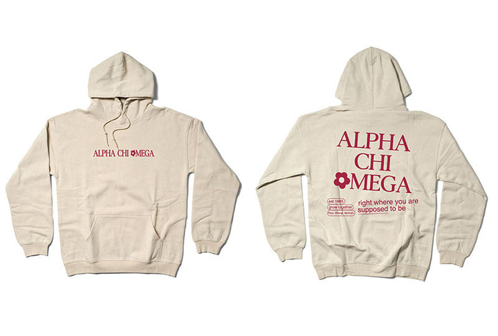 Supposed to Be Sand Sorority Matching Set Hoodie - 2XL